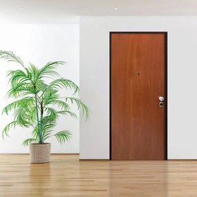 Porta blindata MASTER Tough L 90 x H 210 cm in melaminico noce, apertura spingere a sinistra, falso telaio incluso