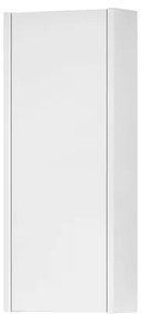 Pensile bagno Niwa laccato opaco bianco, 1 anta apertura da sinistra P 17 x L 30 x H 78.5 cm