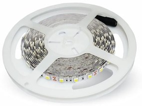 24V Bobina Led 300 SMD 5050 9W/M Bianco Caldo IP20 5 Metri Per Allestimenti Camion Barca SKU-212431