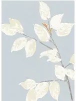 Lewis & Wood Carta da parati Beech - Cirrus