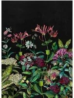 Coordonne Wandbild Wild Floral - Night