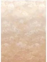 Designers Guild Carta da parati panoramica Chettinad - Shell