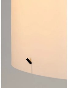 Rabalux 74012 - Lampada da terra IZANDER 1xE27/40W/230V bianco/argento