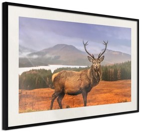 Poster  Majestic Deer  Cornice Quadri Cornice nera con pass-partout, Larghezza x Altezza Home decor 30x20