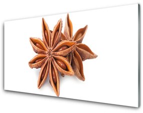 Quadro su vetro Spezia all'anice stellato 100x50 cm 2 appendini