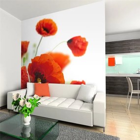 Fotomurale Poppies on the white background  Colore Nero, Dimensioni e Misure 350x270