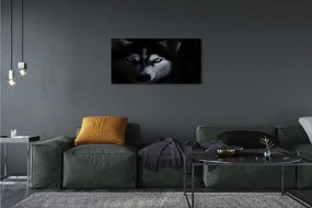 Quadro su tela Eyes Wolf 100x50 cm