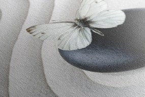 Quadro su tela – Pietra Zen con farfalla