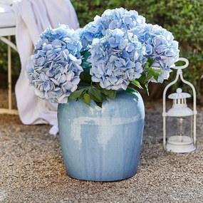 LOBERON Vaso Uxemir