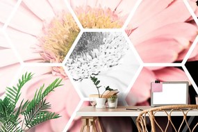 Carta da parati autoadesiva – Gerbera in esagono