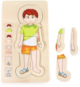 Puzzle di legno - Anatomia del ragazzo Tim