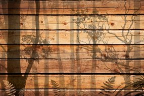 Carta da parati autoadesiva – All'ombra degli alberi