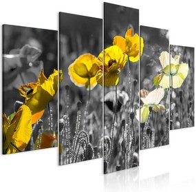 Quadro Yellow Poppies (5 Parts) Wide