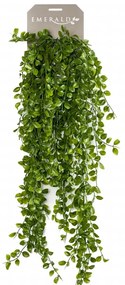 Ficus Pumila Artificiale 80 Cm /