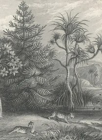 Rebel Walls Carta da parati panoramica Jungle Land Vintage - Teil A