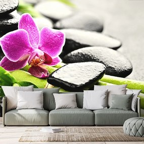 Carta da parati – Natura morta con orchidea viola
