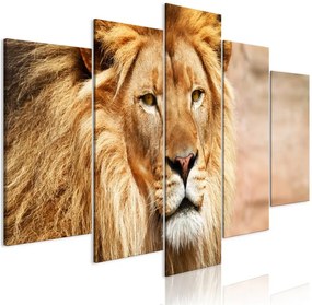 Quadro  The King of Beasts (5 Parts) Wide Orange  Colore Arancione, Dimensioni e Misure 200x100