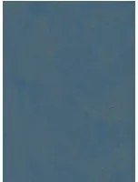 Isidore Leroy Carta da parati Plumes - Bleu