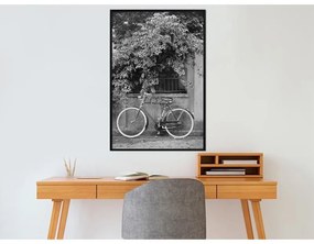 Poster Bicycle with White Tires