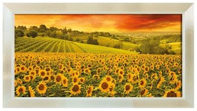 Stampa incorniciata su tela Silvia Girasoli multicolore 136 x 76 cm