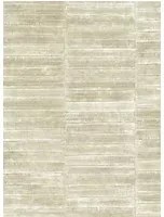Élitis Carta da parati Anguille - Beige