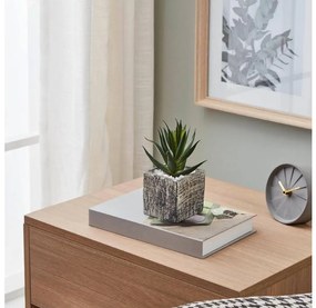 Eglo 428008 - Pianta artificiale CHITOSE 13x9,5 cm in vaso, succulenta