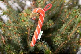 Lilliputiens - Elfo di Natale con bastoncino di zucchero e cappuccio