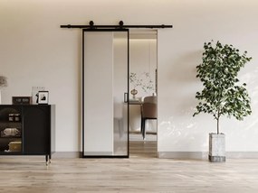 Porta scorrevole esterno muro H205 x L63 cm Alluminio e Vetro temperato smerigliato - LINCI II