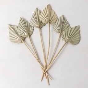 Confezione da 6 rami secchi decorativi Beliefe Verde Bambù - Sklum