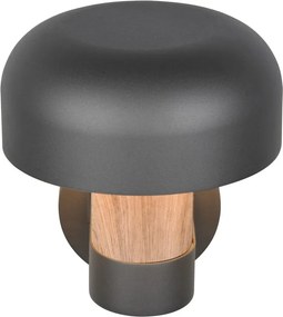 Illuminazione esterna con sensore di movimento da parete (altezza totale 24,5 cm) Fraser – Trio