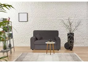 Divano moderno in tessuto a 2 posti, Made in Italy, Divano per piccoli appartamenti, con cuscini, cm 125x73xh85, colore Grigio