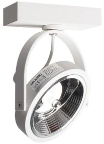 Luce Spot da parete a LED LUGAR 1xAR111 - GU10/25W/230V
