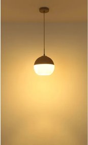 Globo 15999H1 - Lampadario sospeso con cavo RAGUSA 1xE27/60W/230V Ø 25 cm