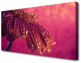 Quadro su tela Albero della pianta della natura 100x50 cm