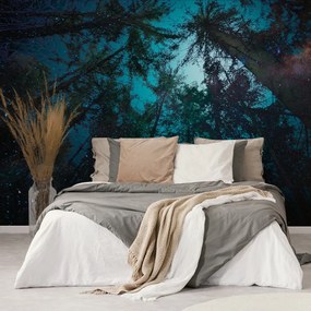 Carta da parati – Notte nel bosco