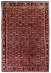 Bidjar Tappeto 340x230 (Iran) Annodato A Mano