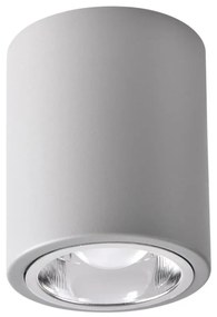 Faretto LED RGBW dimmerabile JUPITER 1xE27/6,5W/230V Ø 9,8 cm grigio