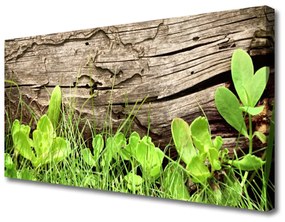 Quadro su tela Fiori di foglie di erba 100x50 cm