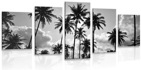 Quadri 5 pezzi – Palme da cocco sulla spiaggia in bianco e nero