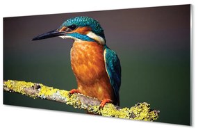 Pannello paraschizzi cucina Uccello colorato su un ramo 100x50 cm