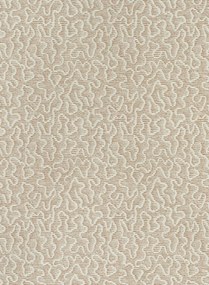 Andrew Martin Carta da parati Moss - Plaster