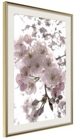 Poster  Spring Visit  Cornice Quadri Cornice d'oro con passe-partout, Larghezza x Altezza Home decor 30x45