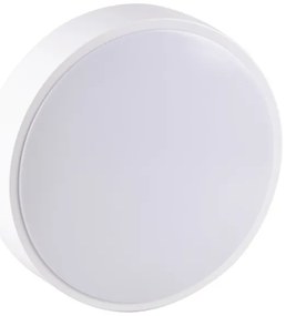 Plafoniera LED per bagno RENE LED/15W/230V IP44 bianca