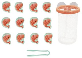 Pesca Di Gamberi - giocattolo da bagno