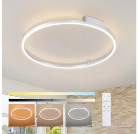 Brilagi - Lampada LED dimmerabile PORTOFINO LED/60W/230V Ø 80 cm argento + telecomando