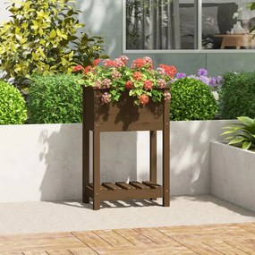 Fioriera Con Mensola Ambra 54x34,5x81cm Legno Massello Di Pino /