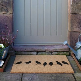 Zerbino in fibre di cocco 60x90 cm Birds On a Wire – Artsy Doormats