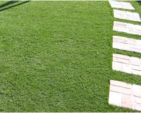 Prato sintetico tappeto erba finto artificiale 30 MM 2x25 MT