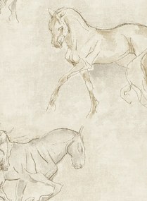 Lewis & Wood Carta da parati Equus - LW74