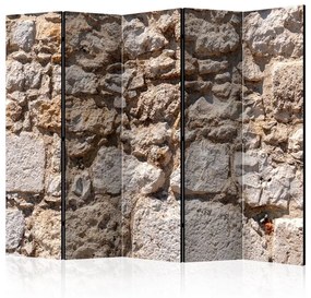 Paravento  Stone Castle II [Room Dividers]  Colore ---, Dimensioni e Misure 225x172